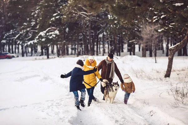 Happy young caucasian family plays with a dog in winter in a pine forest — Stock Photo, Image