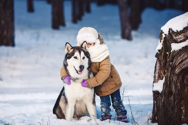 Funny little girl hugging her big Malamute dog in winter in the forest. — Stock Photo, Image