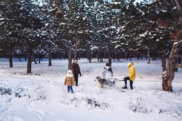 Happy young caucasian family plays with a dog in winter in a pine forest