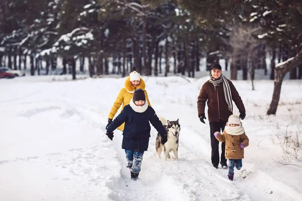 Happy young caucasian family plays with a dog in winter in a pine forest — Stock Photo, Image