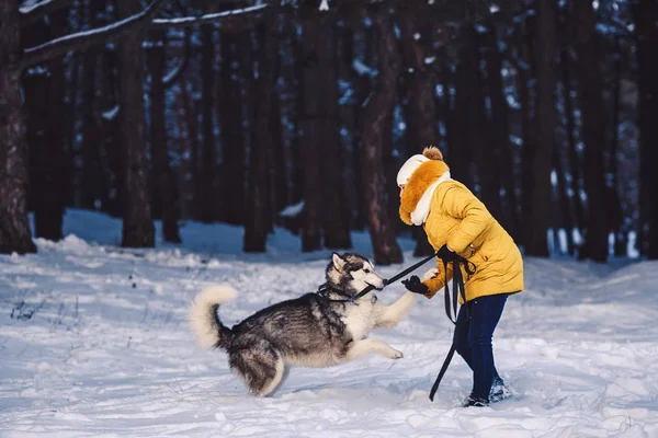 Beautiful young girl funny playing with her dog in winter in park — Stock Photo, Image