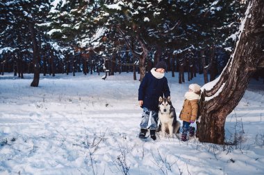 Neşeli küçük erkek ve kız onların büyük köpekle yakınındaki ormanda çarpık bir ağacı kışın duruyorsun.