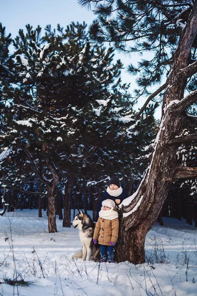 Vrolijke kleine jongen en meisje staan met hun grote hond in de winter in de buurt van een kromme boom in het bos. — Stockfoto