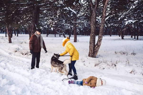 Gelukkige jonge familie plezier spelen met de hond in winter park. Het kleine meisje is liggend in de sneeuw — Stockfoto