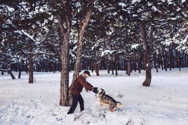 Malamute adam ve kışın Parkta oynayan köpek.