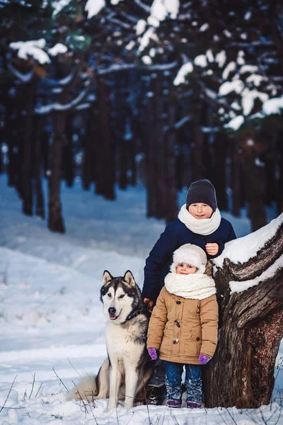 冬天, 快乐的小男孩和女孩和他们的大狗站在森林里一棵弯曲的树附近. — 图库照片