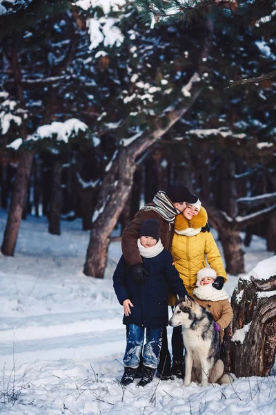 Happy european young family with big dog posing against winter pine forest — Stock Photo, Image