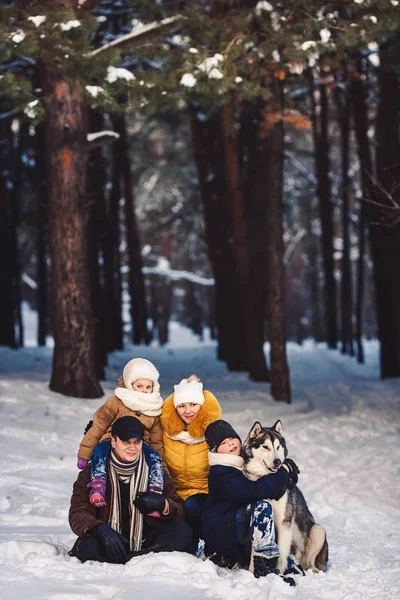 Happy european young family with big dog posing against winter pine forest — Stock Photo, Image