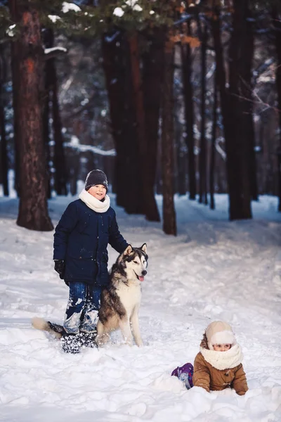 Les enfants s'amusent à jouer avec leur chien dans le parc en hiver . — Photo