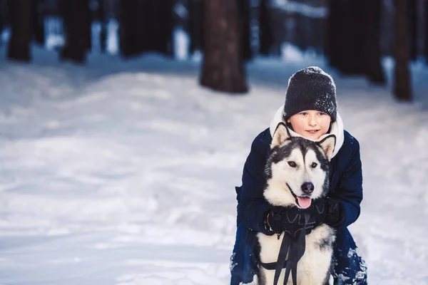 A cheerful European teenager hugs a big dog in the winter in the forest. The concept of winter holidays — Stock Photo, Image