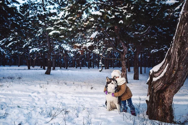 Funny little girl hugging her big Malamute dog in winter in the forest.