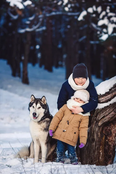 冬天, 快乐的小男孩和女孩和他们的大狗站在森林里一棵弯曲的树附近. — 图库照片