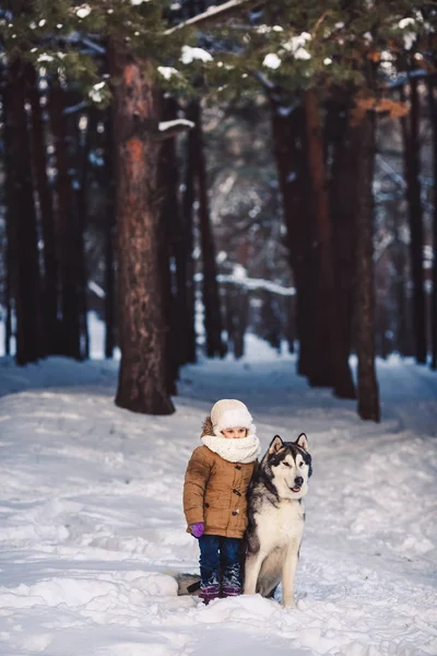Petite fille drôle étreignant son gros chien Malamute en hiver dans la forêt . — Photo