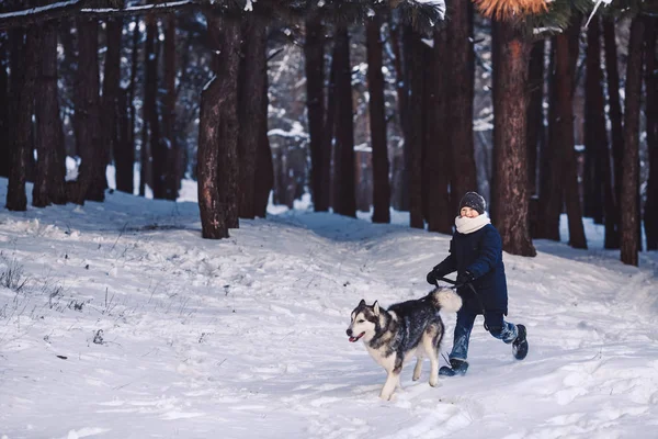 狗和男孩在冬天在森林里奔跑。寒假活动假期的概念 — 图库照片