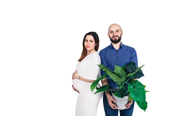 Alegre joven embarazada pareja muestra emociones. hombre barbudo sosteniendo una gran planta de interior. aislado sobre fondo blanco . —  Fotos de Stock