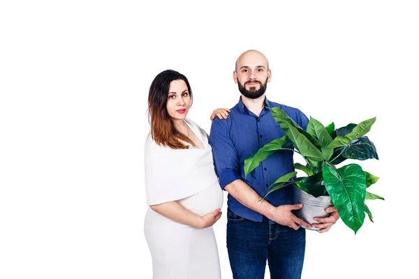 Jovem casal grávida alegre mostra emoções. homem barbudo segurando uma planta grande. isolado em fundo branco . — Fotografia de Stock