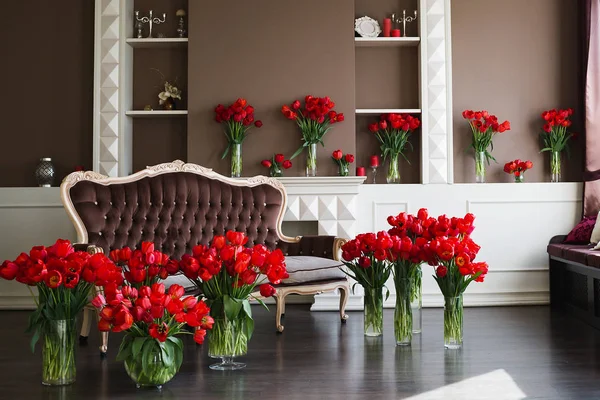 The interior of the living room in brown tones with large bouquets of red tulips in vases. — Stock Photo, Image