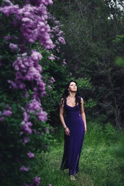 Eflatun çiçekli çalılar poz mor elbiseli çekici kadın.