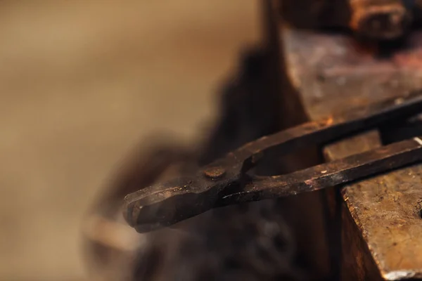 Close up photo of smoking blacksmith ticks. — Stock Photo, Image
