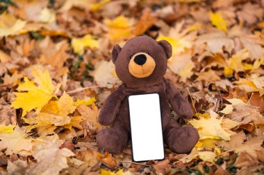 Sarı yapraklı beyaz ekranlı telefonu olan kahverengi oyuncak ayı..