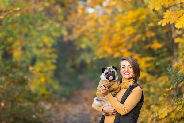 Glimlachend Meisje Houdt Pug Hond Herfst Het Park — Stockfoto