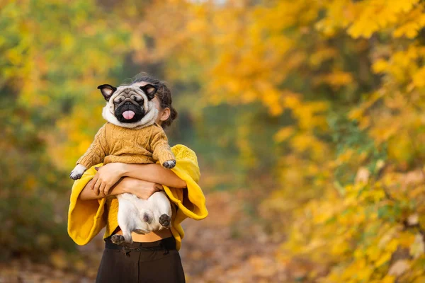 Teen Girl Her Dog Pug Autumn Park — Stock Photo, Image