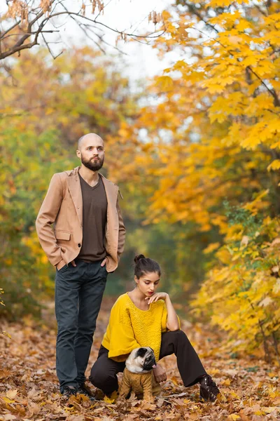 Man Met Baard Meisje Met Pug Herfst Esdoorn Park — Stockfoto