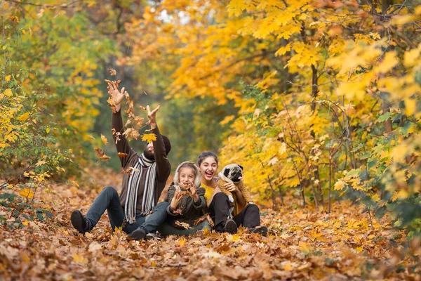 家族は秋の森の中で犬と一緒に歩きます 公園に娘や豚と一緒にいる父親は — ストック写真