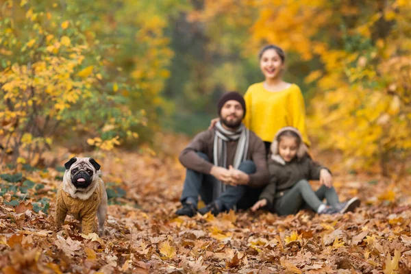 Papa Barbu Avec Des Filles Chien Dans Les Feuilles Automne — Photo