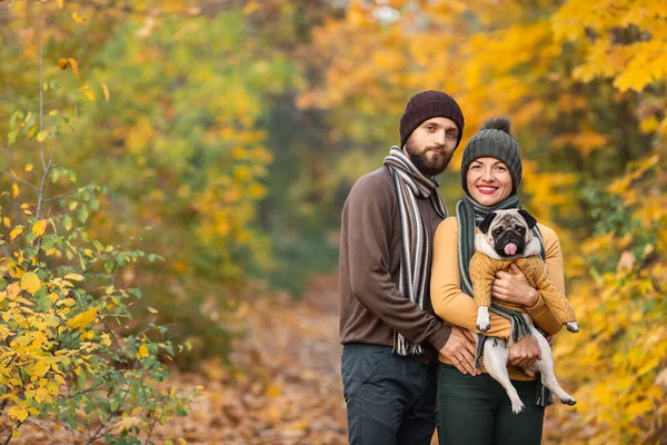 Счастливая Семья Собакой Мопс Осеннем Лесу Бросает Листья — стоковое фото