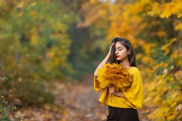 Allegro Ritratto Donna Con Foglie Acero Autunnali Nel Parco — Foto Stock