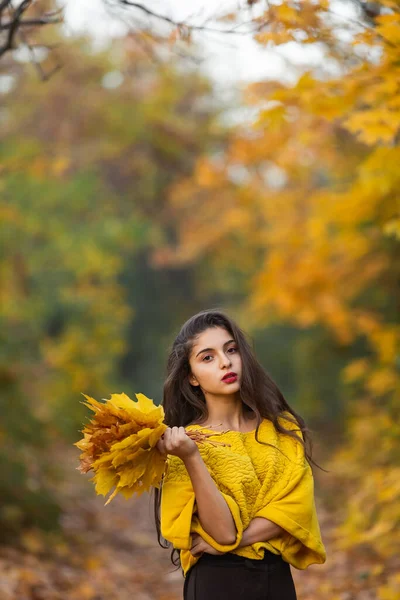Portrait Young Girl Who Holds Her Hand Bouquet Autumn Maple — Stock Photo, Image