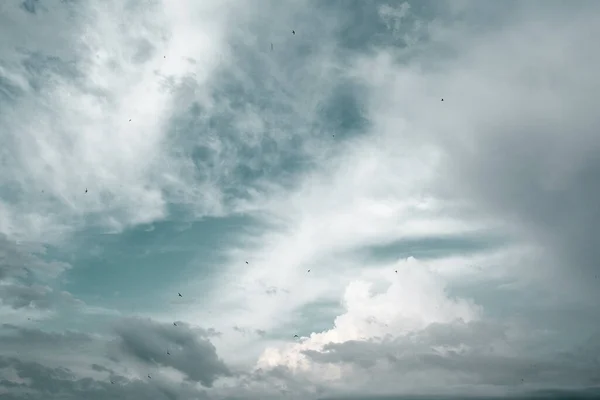 Fényes Homályos Felhőkkel Szárnyaló Madarakkal — Stock Fotó