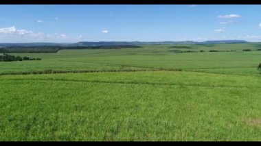 kırsal alanda filme dron.