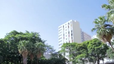 Ribeiro Preto, So Paulo / Brazil - Kasım 2019 - Praa XV de Novembro, şehir merkezinde bulunan bronz heykel.