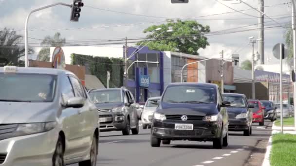 Ribeiro Preto Paulo Brazília 2019 Szeptember Timelapse Important Avenue Commerce — Stock videók