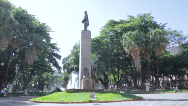 Ribeiro Preto Paulo Brazil November 2019 Bronze Sculpture Located Praa — 图库视频影像