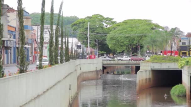 Ribeiro Preto Paulo Brasil Circa Enero 2020 Movimiento Coches Una — Vídeo de stock