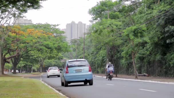 Ribeiro Preto Paulo Brazil January 2020 Movement Cars Main Avenue — 图库视频影像