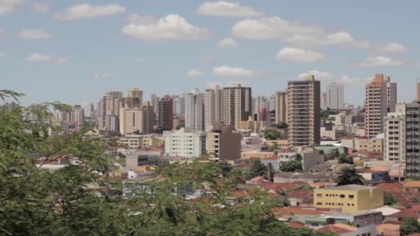 Ribeiro Preto Belvárosi Épületeinek Áttekintése Paulo Brazília — Stock videók