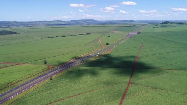 Paulo Ribeiro Preto公路切割的甘蔗种植区 — 图库视频影像