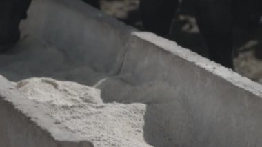 Beslenme alanındaki beyaz ve siyah sığır eti.