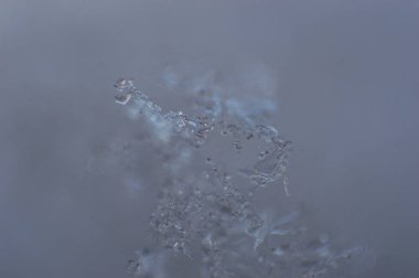 cam üzerine düşer