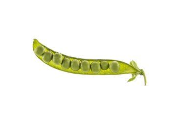 İzole edilmiş beyaz arkaplan üzerindeki bezelye kabuğu