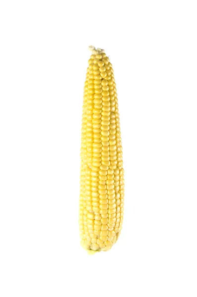 Kukuřice Bílém Pozadí Izolované — Stock fotografie