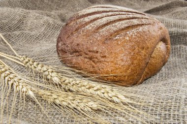 çavdar ekmeği üzerine yağlıboya