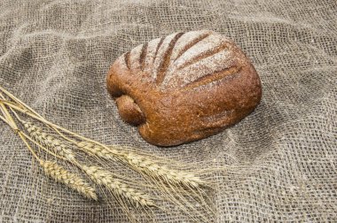 çavdar ekmeği üzerine yağlıboya