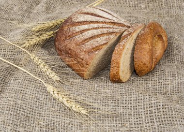 çavdar ekmeği üzerine yağlıboya