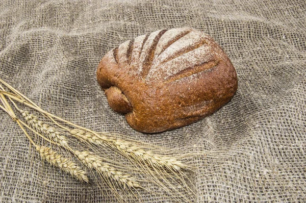 çavdar ekmeği üzerine yağlıboya