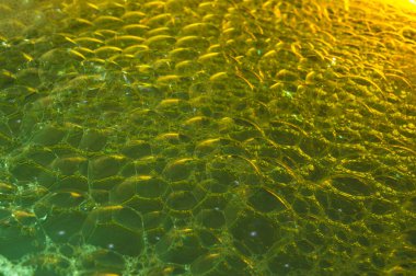 renkli sabun köpük arka planı